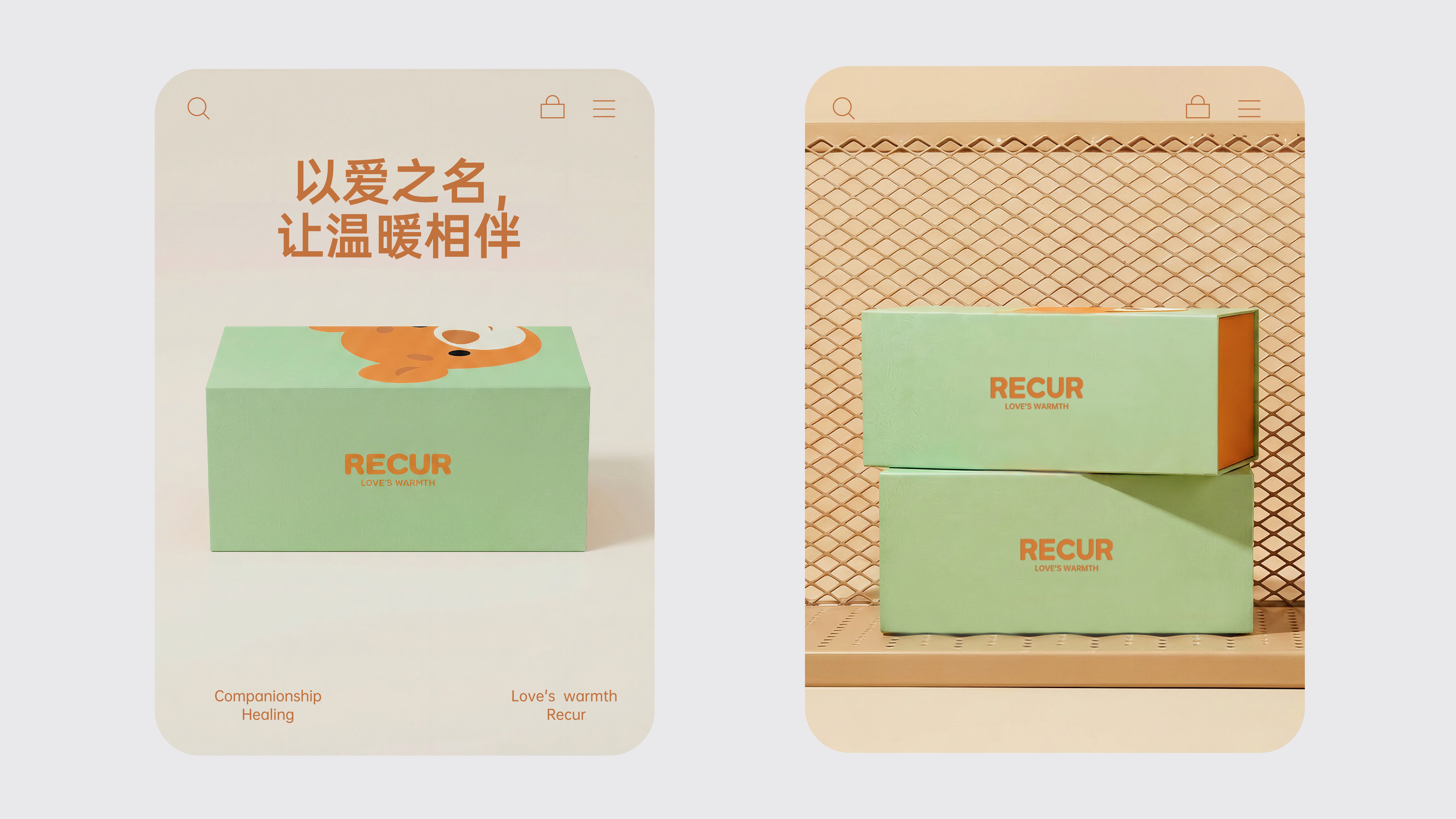 品牌视觉系统设计场景图 16